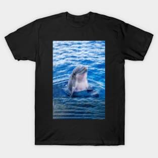 I Love Dolphins T-Shirt